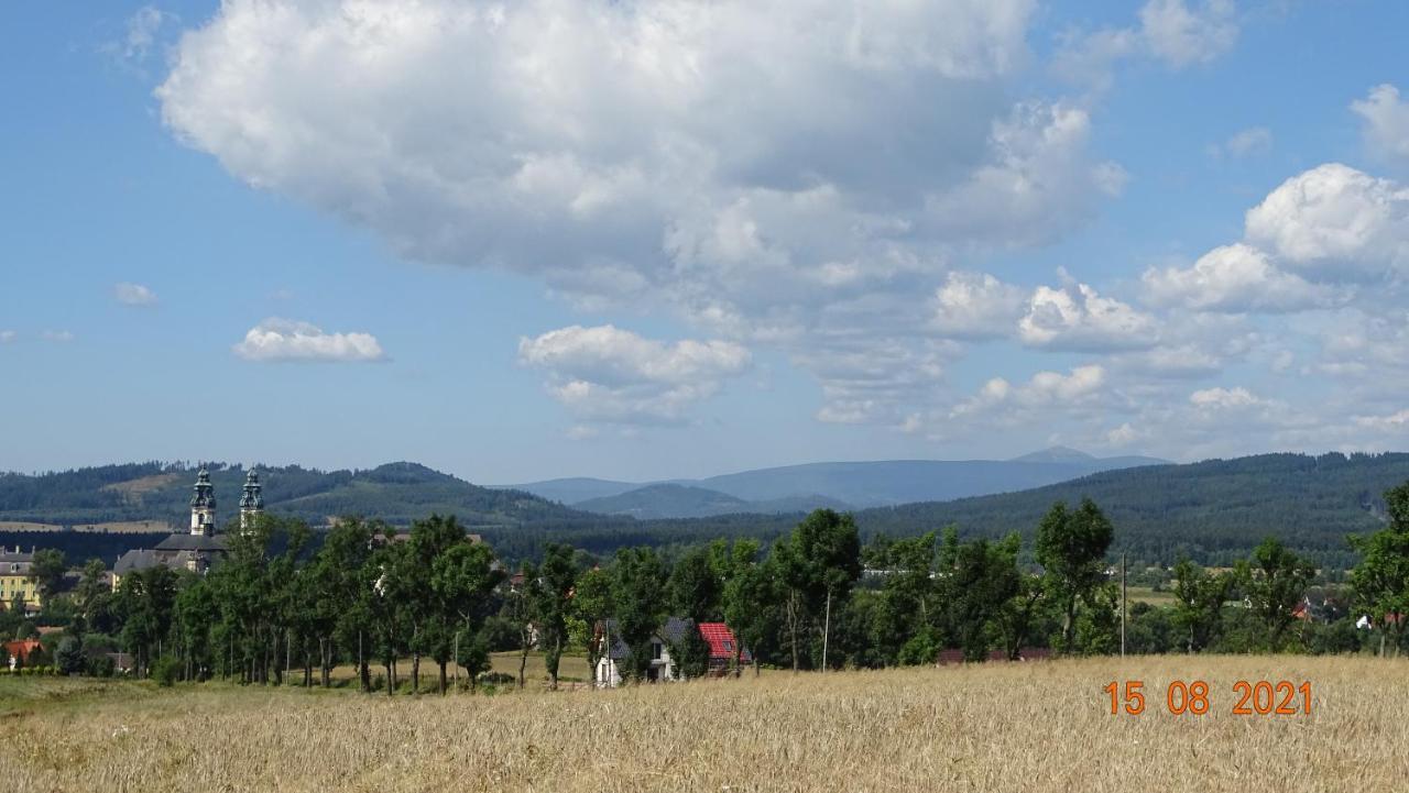Krzeszow Na Szlakuアパートメント エクステリア 写真